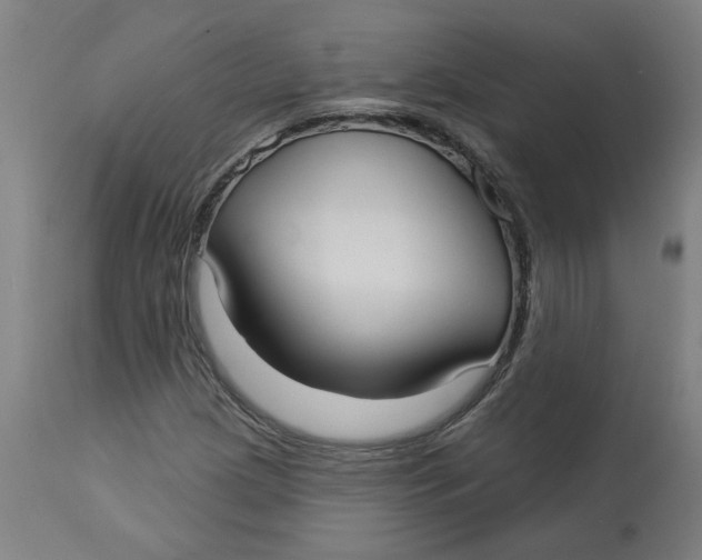 X0000113021209200909171445