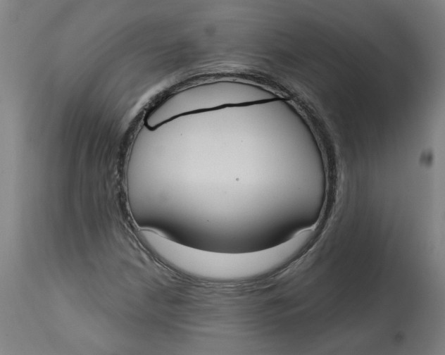 X0000113021210200909171445