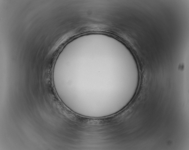 X0000113021211200909171445