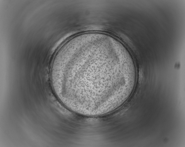 X0000113021212200909171445