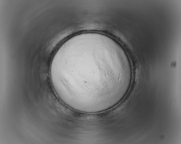 X0000113021213200909171445