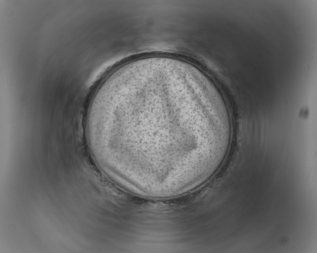 X0000113021214200909171445