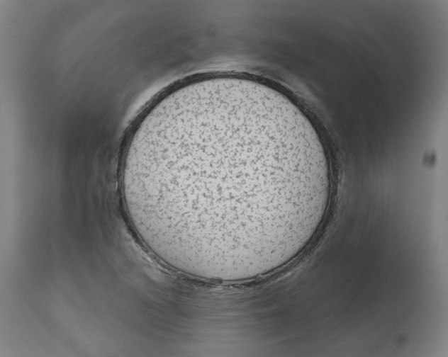 X0000113021216200909171446