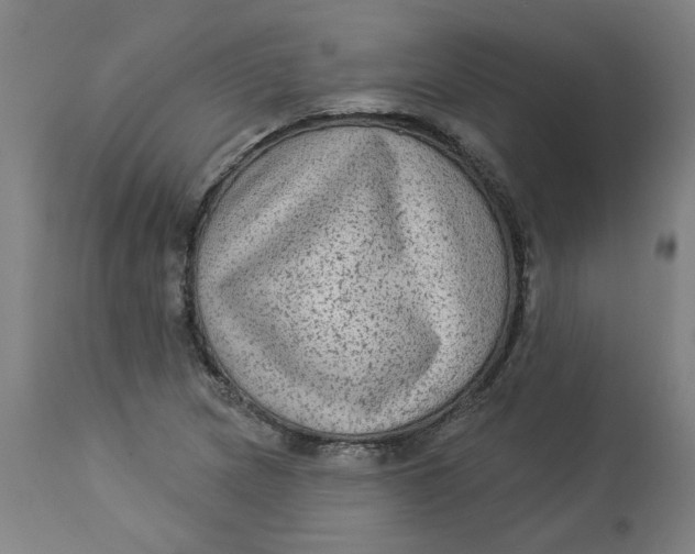 X0000113021217200909171446