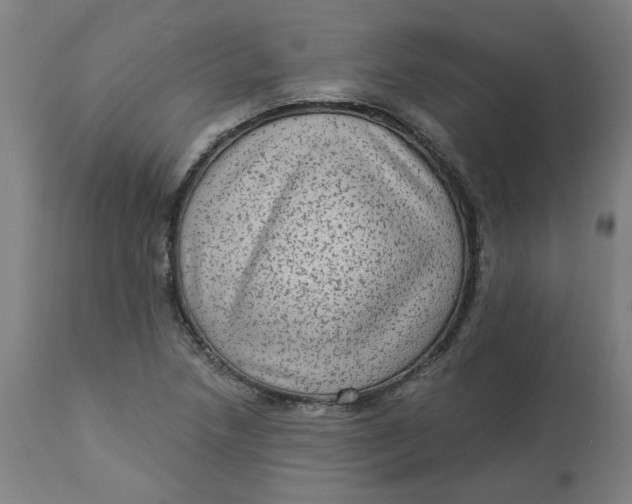 X0000113021218200909171446