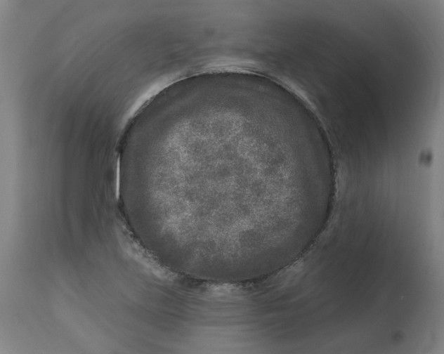 X0000113021219200909171446