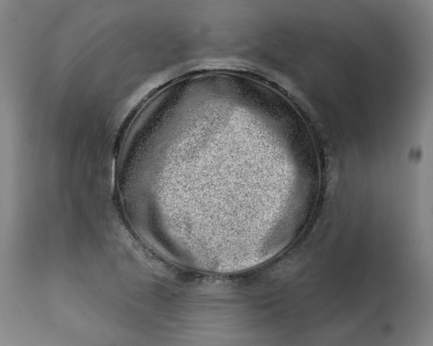 X0000113021221200909171446