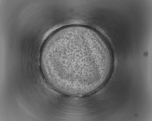 X0000113021222200909171446