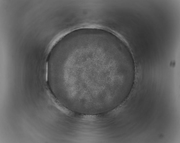 X0000113021223200909171446