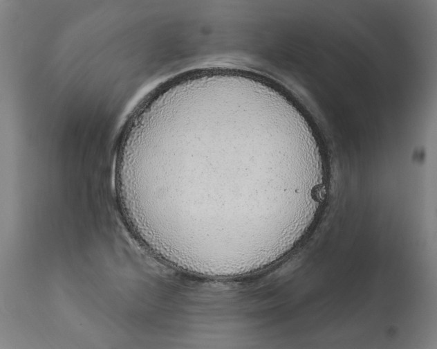 X0000113021224200909171446