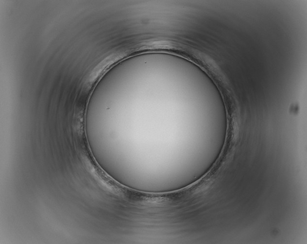 X0000113021225200909171446