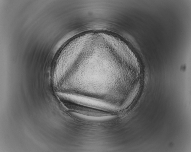 X0000113021226200909171446