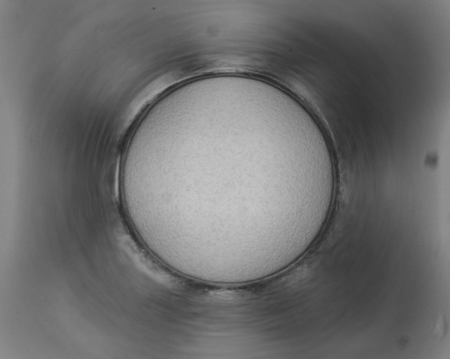 X0000113021227200909171446