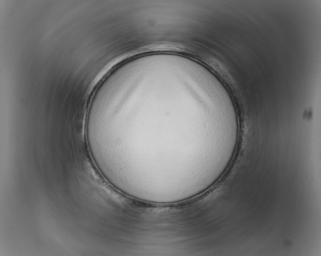 X0000113021228200909171446