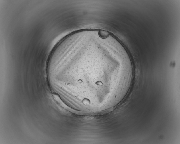 X0000113021230200909171446