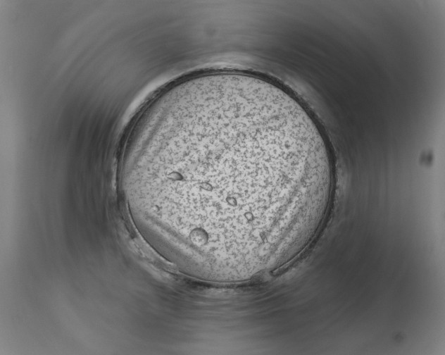 X0000113021232200909171446