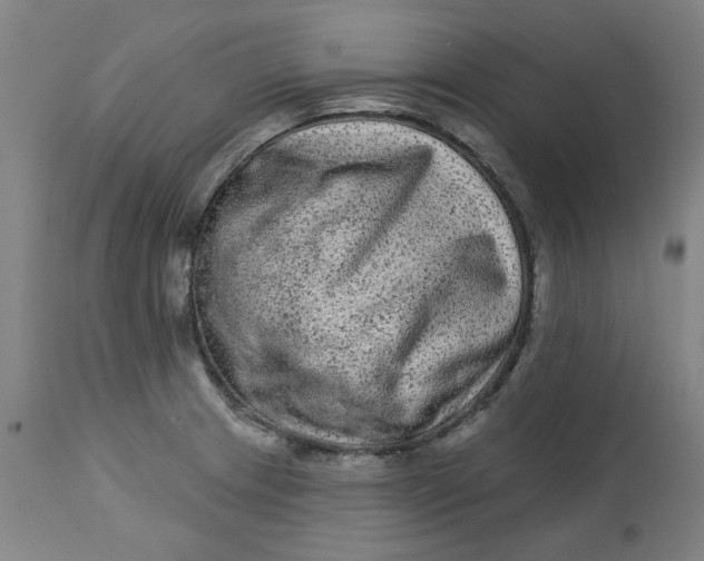 X0000113021233200909171446