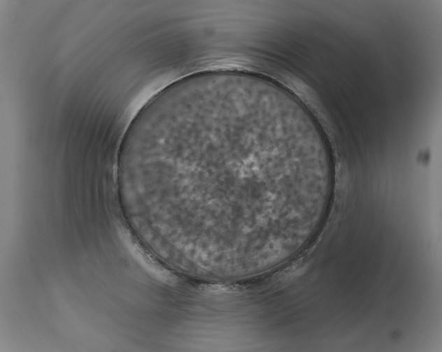 X0000113021234200909171446