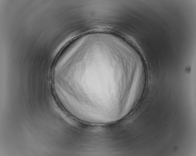 X0000113021235200909171446