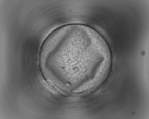 X0000113021236200909171446