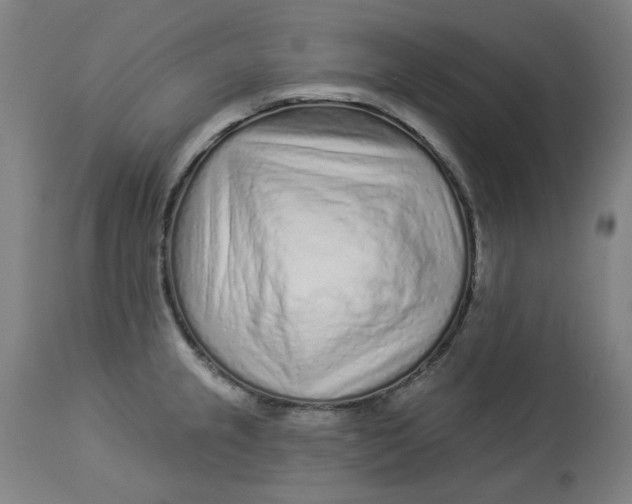 X0000113021237200909171446