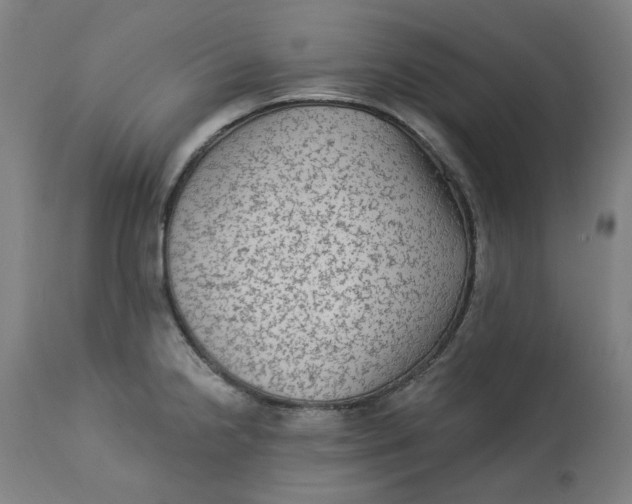 X0000113021238200909171446