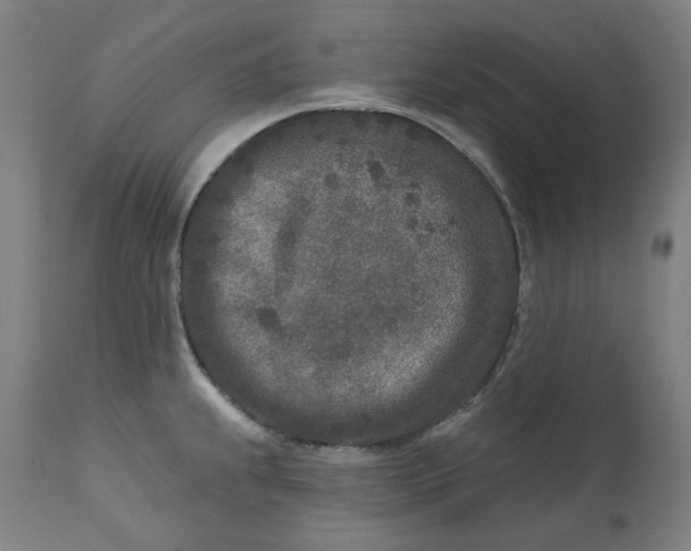 X0000113021239200909171446