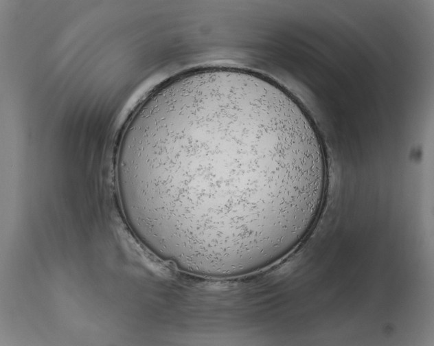 X0000113021240200909171446