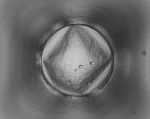 X0000113021241200909171446