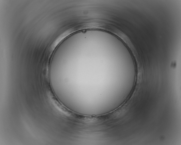 X0000113021242200909171446