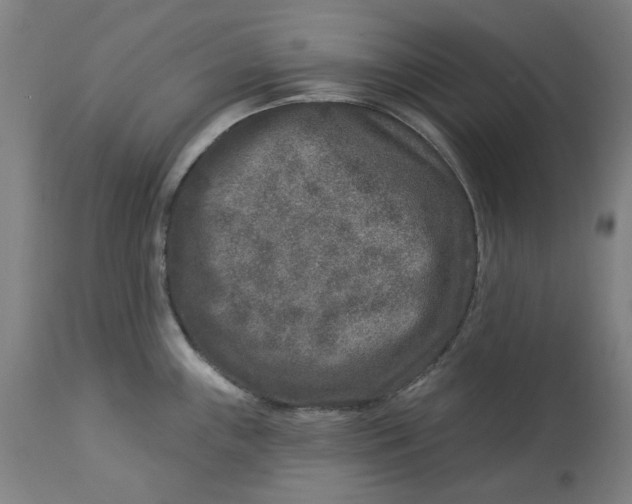 X0000113021243200909171446