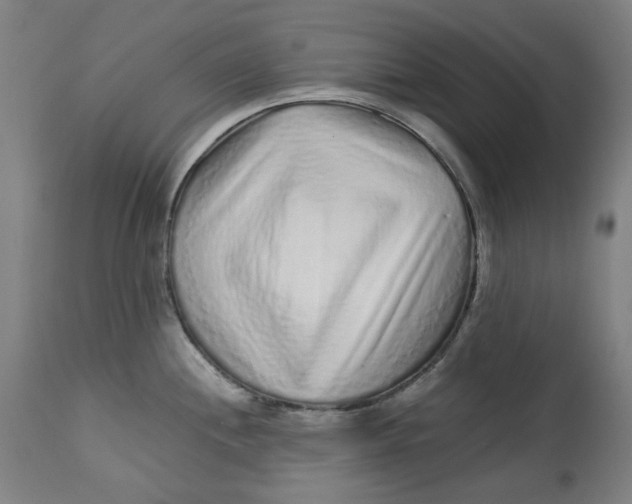 X0000113021244200909171446