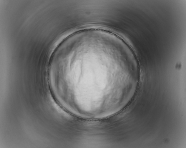 X0000113021247200909171446