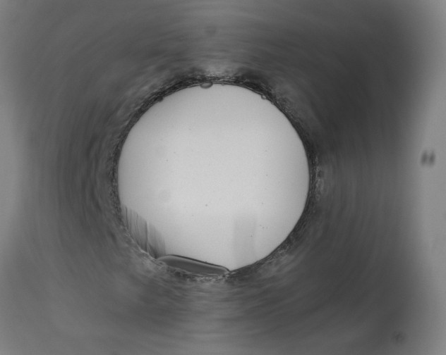 X0000113021249200909171445