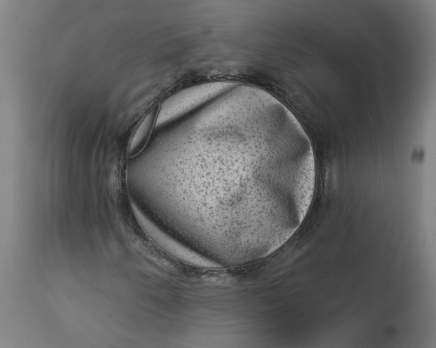 X0000113021250200909171445