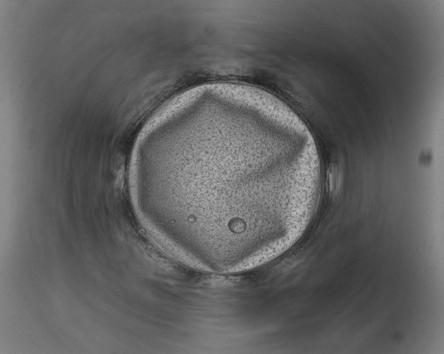 X0000113021251200909171445