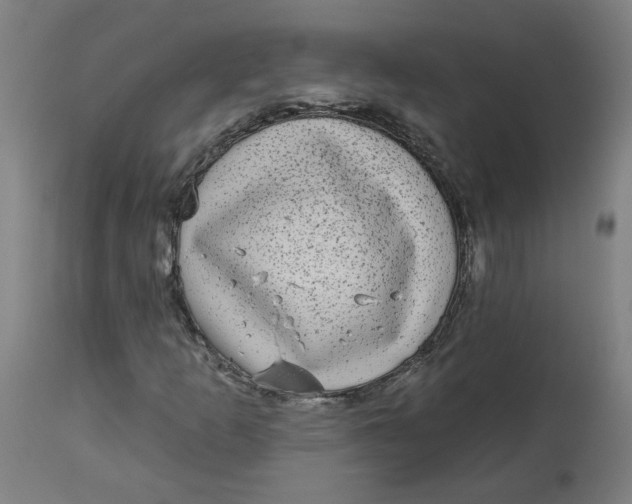 X0000113021253200909171445