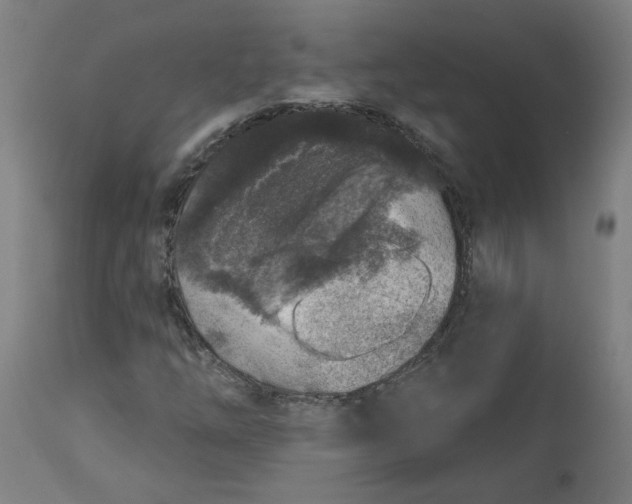 X0000113021254200909171445