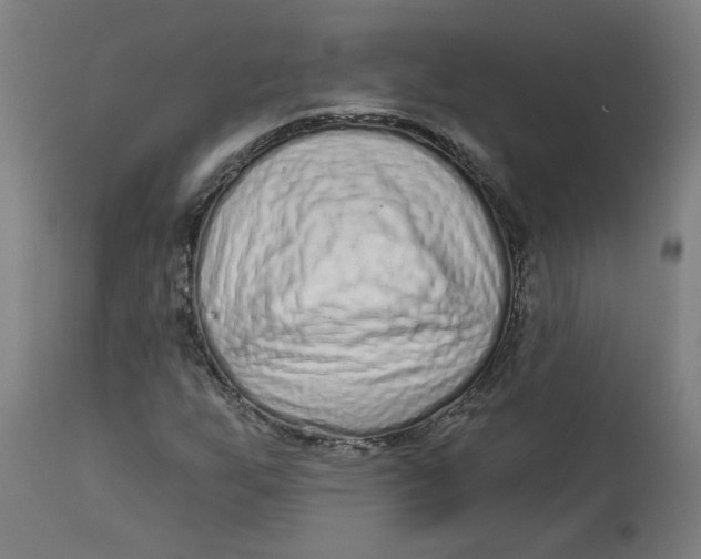 X0000113021255200909171445