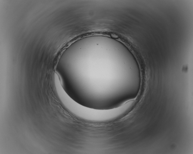 X0000113021257200909171445