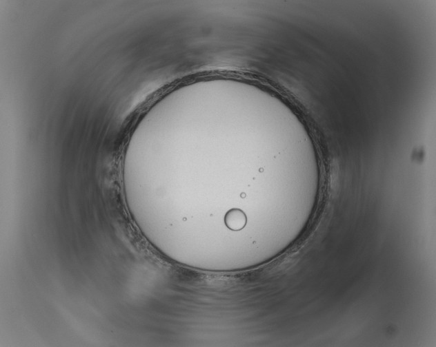 X0000113021258200909171445