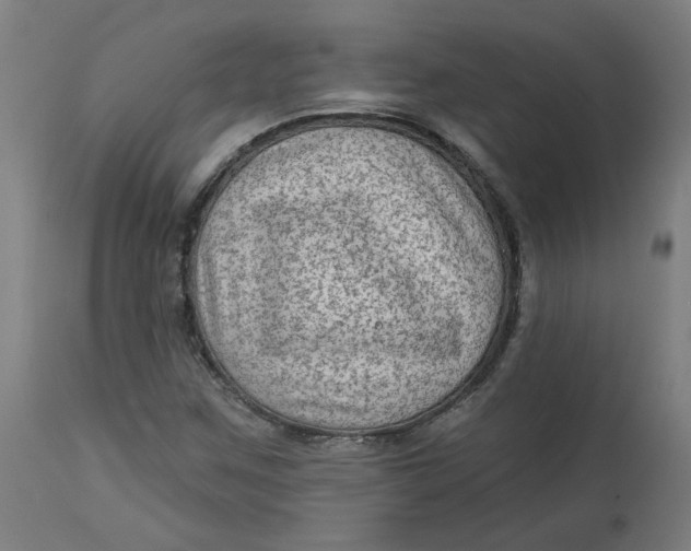 X0000113021259200909171445