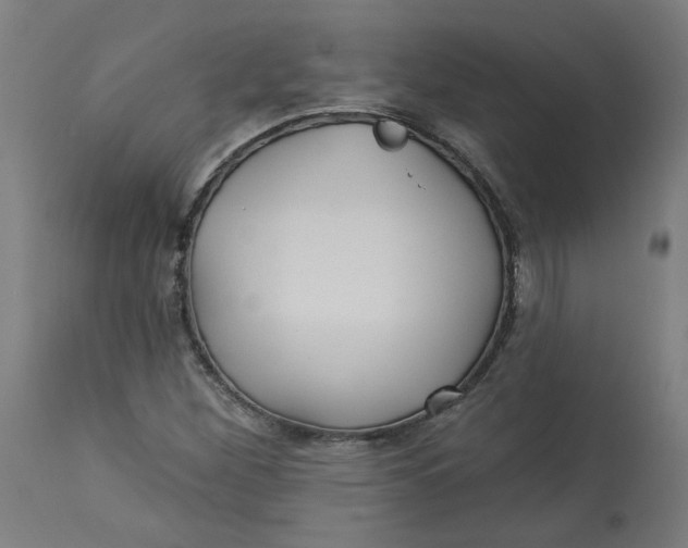 X0000113021260200909171445