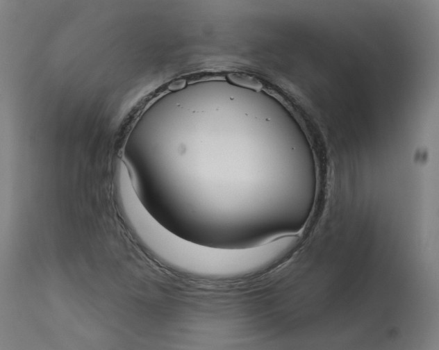 X0000113021261200909171445