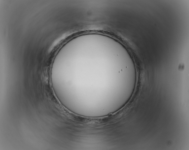 X0000113021262200909171445