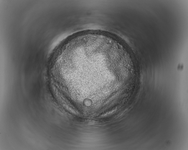 X0000113021263200909171445