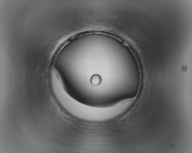 X0000113021264200909171445