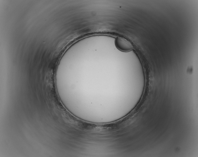 X0000113021265200909171445