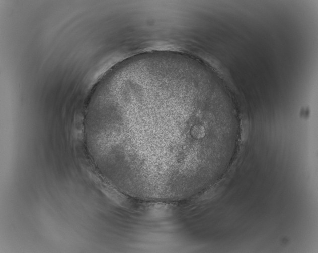 X0000113021266200909171445