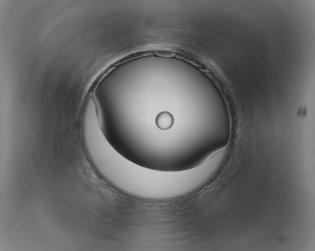 X0000113021268200909171445